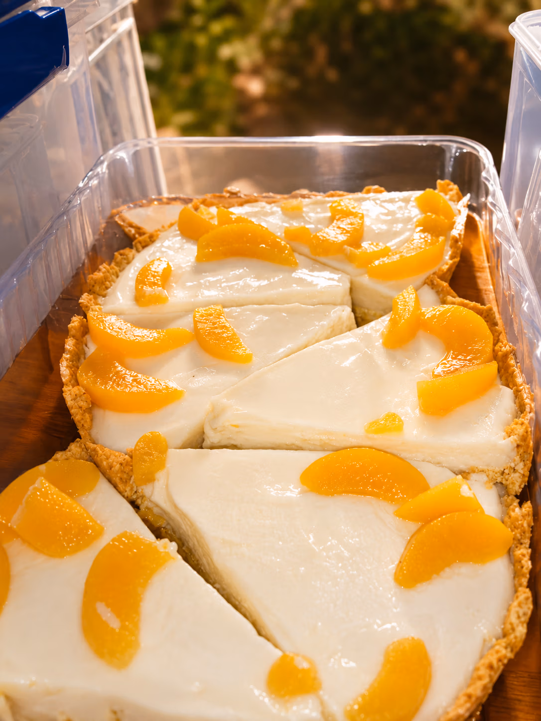 Custard pie